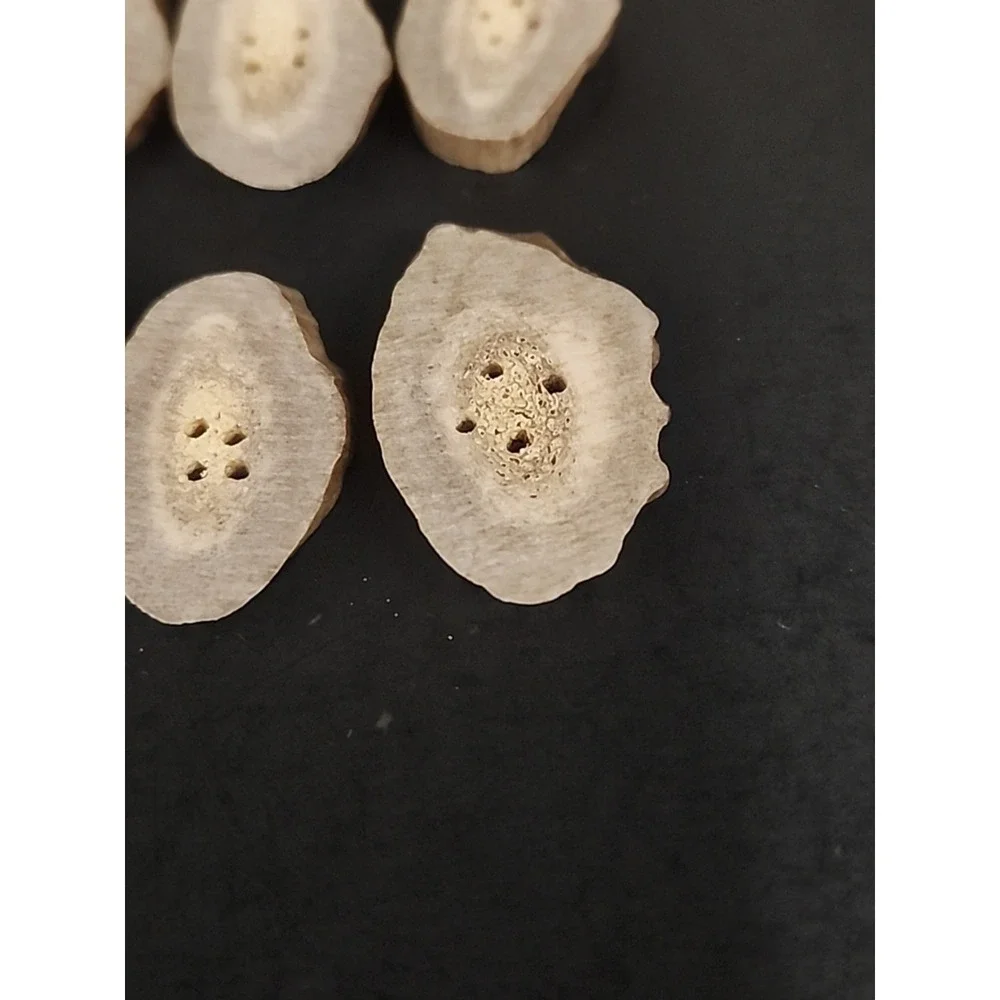 6 Piece Set Of Raw‎ Antler Buttons 1.25